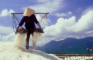 Muối không nuôi nổi diêm dân