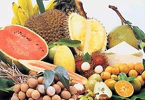 Xuất khẩu rau quả: Những bất cập và mục tiêu kim ngạch 1,5 tỷ USD