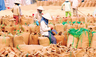 Xuất khẩu gạo có thể đạt 7,2 triệu tấn