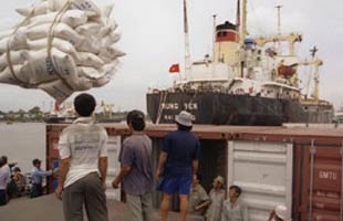 Xuất khẩu gạo: Lượng tăng, giá trị không tăng