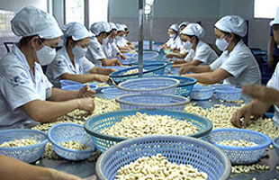 Đồ gỗ, thủy sản cẩn trọng với Farm Bill 2008