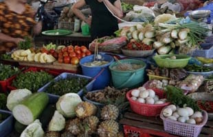 Rau Trung Quốc ồ ạt nhập nội