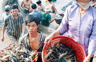 Gỡ khó cho doanh nghiệp xuất khẩu 