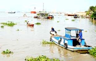 Lên kế hoạch “cứu” sông Thị Vải