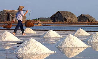 Nhập khẩu muối: "Ba điểm bất hợp lý"
