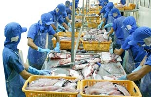 Thủy sản chật vật vì khủng hoảng tài chính