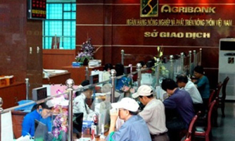 Viết lại “giấy chứng nhận sức khỏe” cho ngân hàng