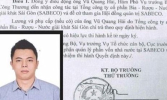 Phó thủ tướng yêu cầu báo cáo việc bổ nhiệm ông Vũ Quang Hải