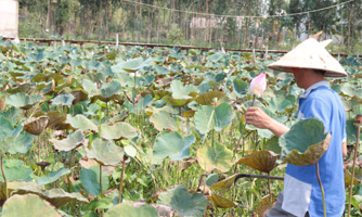 Luật hỗ trợ doanh nghiệp đã đến tay đại biểu Quốc hội