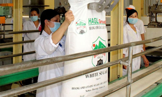 “Vụ” HAGL xin nhập đường: Mía đường bị ép đến chân tường