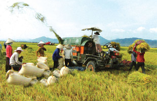 Nông dân không dễ tìm vốn kích cầu