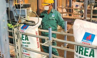 Nhắm đến Myanmar, DPM dự kiến lập văn phòng đại diện