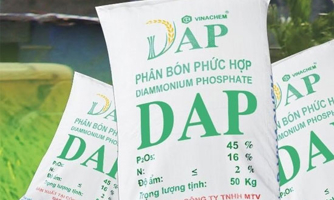 Cổ phần hóa 6 doanh nghiệp thuộc Vinachem