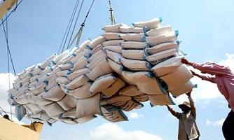 Xuất khẩu gạo Việt Nam đang ở số 1 thế giới