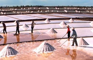 Giá muối rơi tự do, diêm dân vừa cười đã khóc
