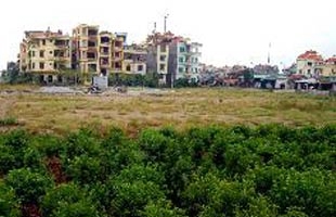 Nhiều tập đoàn, tổng công ty sử dụng đất lãng phí, sai mục đích
