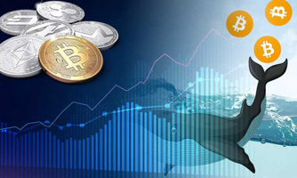 Các nhà đầu tư "cá mập" Bitcoin có khả năng thao túng thị trường thế nào?
