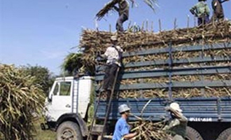 “Mỗi ngày thất thu 500 triệu đồng tiền thuế vì đường lậu”