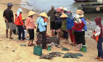 Chính phủ yêu cầu cấm thu mua, tiêu thụ cá chết