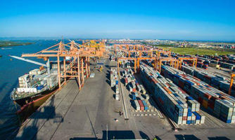 Những "đại lộ" thương mại FTA: Doanh nghiệp không thể đi một mình