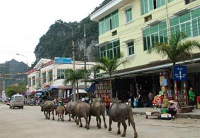 Ba tỉnh miền núi phía Bắc liên minh xúc tiến đầu tư