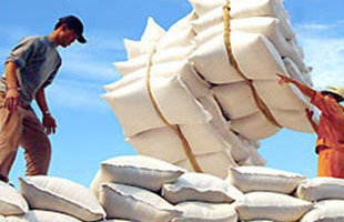 Việt Nam sẽ xuất khẩu gạo sang Đông Timo