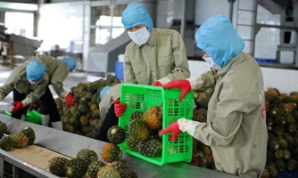 EVFTA thách thức nông sản Việt