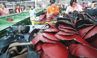 Ngành da giày còn tăng được mấy năm nữa?