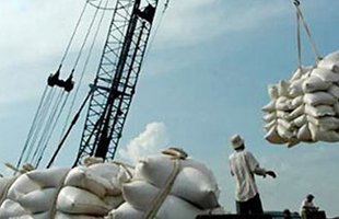 Gần 5 tháng, xuất khẩu hơn 2,4 triệu tấn gạo 
