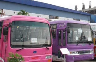 Giảm thuế nhập khẩu xăng và thuế xuất khẩu than
