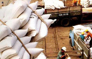 Giá gạo xuất khẩu đang tăng