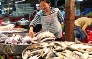 Cúm A/H1N1 hoành hành: Thực phẩm vẫn giữ giá