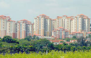 Giá nhà đất tăng đột biến do đầu cơ?