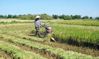 Đề xuất miễn thuế sử dụng đất nông nghiệp đến 2030