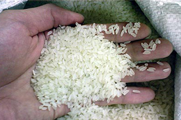 Giá gạo thế giới trong xu hướng tăng