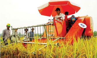 Xuất khẩu gạo: "Có thể tính đến mốc 7 triệu tấn"