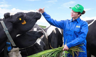 Năm 2021, Mộc Châu Milk dự kiến lãi 319 tỷ đồng, tăng 13,5%