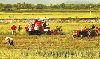 Doanh nghiệp nông nghiệp “khai tử” nhiều hơn là lập mới
