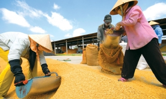 Lỗ triền miên, Vinafood 2 xin cơ chế đặc thù xử lý tài sản