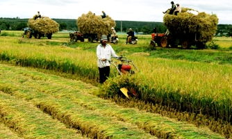 Hơn 300 nghìn tỷ tái cơ cấu nông nghiệp trong 4 năm tới