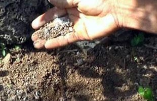 Ngăn chặn phân bón giả: Vẫn là bài toán khó
