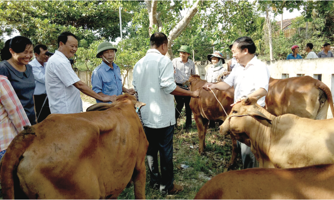 Xóa đói, giảm nghèo vẫn còn nhiều gian nan
