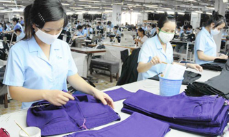 Vì sao doanh nghiệp Việt đang nhỏ dần?