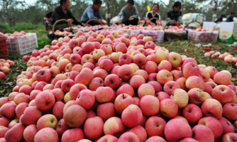 Hàng nghìn mặt hàng sẽ vào Việt Nam với thuế 0% nhờ ACFTA