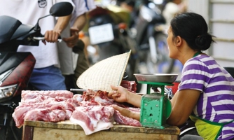Giá lợn hơi đang tăng sau các cuộc giải cứu