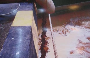 Lùi thời hạn xử lý Vedan