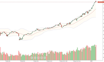 Chạm đỉnh 1.200, rung lắc hay "đánh úp"?
