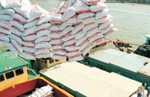 Xuất khẩu gạo tăng mạnh cả về lượng và kim ngạch 