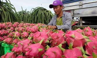 Vẫn đang "gỡ khó" cho xuất khẩu nông sản sang Trung Quốc
