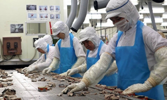 Đề nghị công an điều tra doanh nghiệp lừa đảo xuất khẩu lao động 